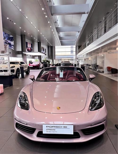 帕拉梅拉跑车图片(帕拉梅拉车展图)