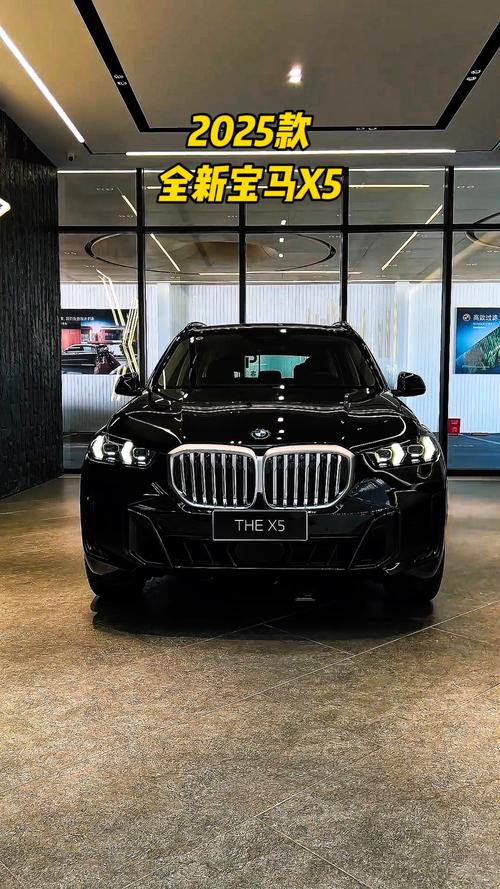 宝马x5容易出现哪些问题,宝马x5爱坏吗