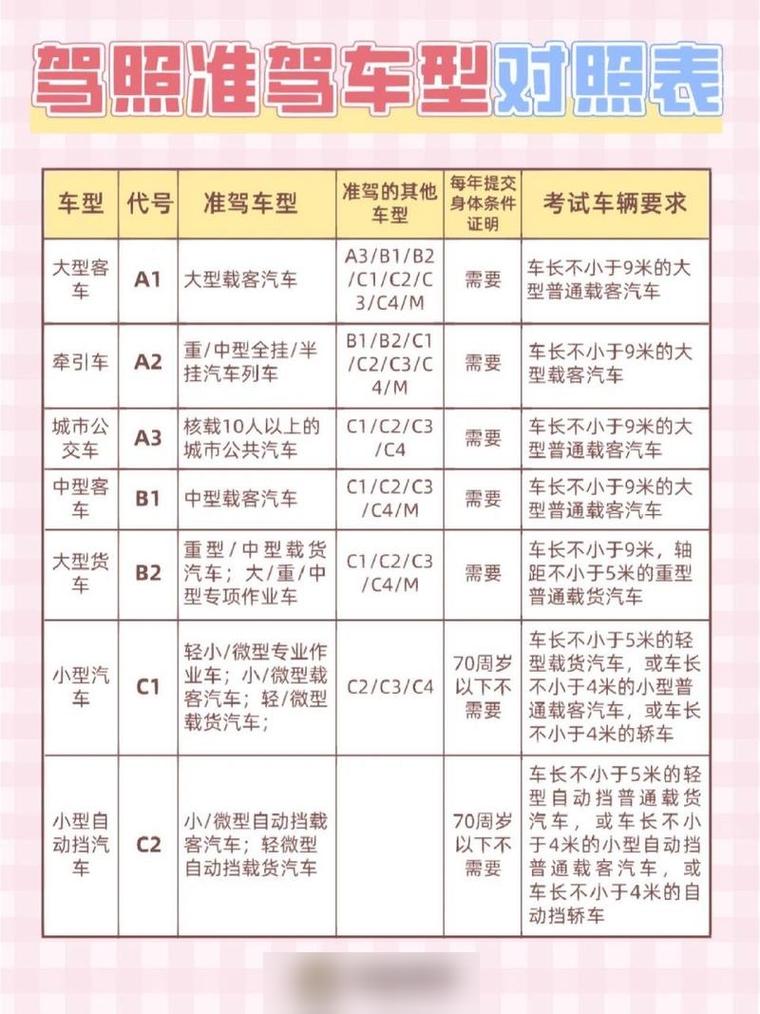 【b1和b2驾照哪个级别高,b1和b2驾照有什么不同】