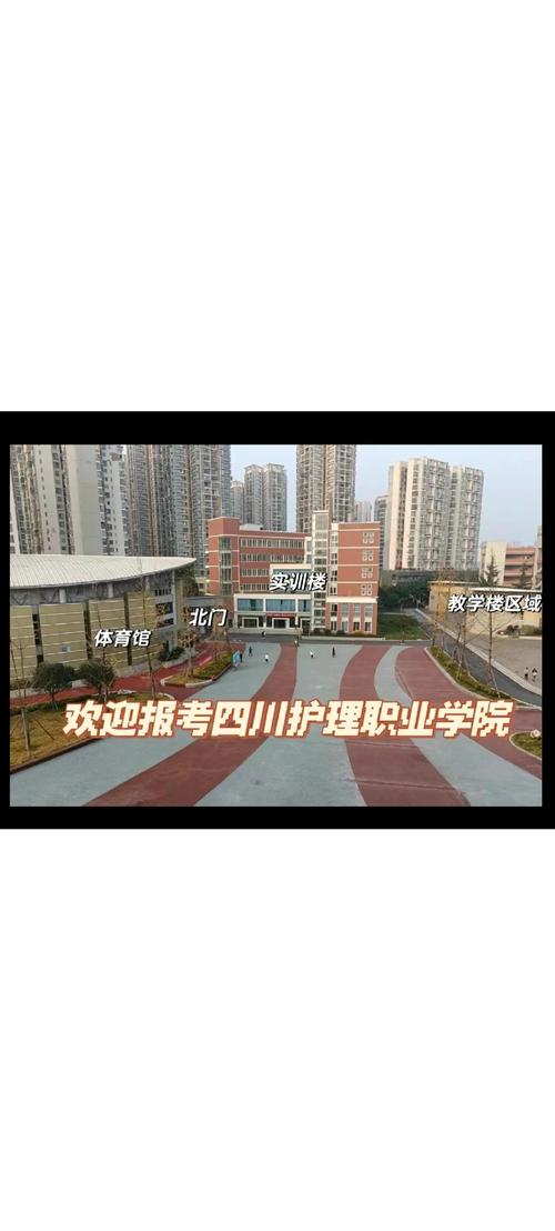 护理学校有哪些学校(护理学校有哪些学校本科)